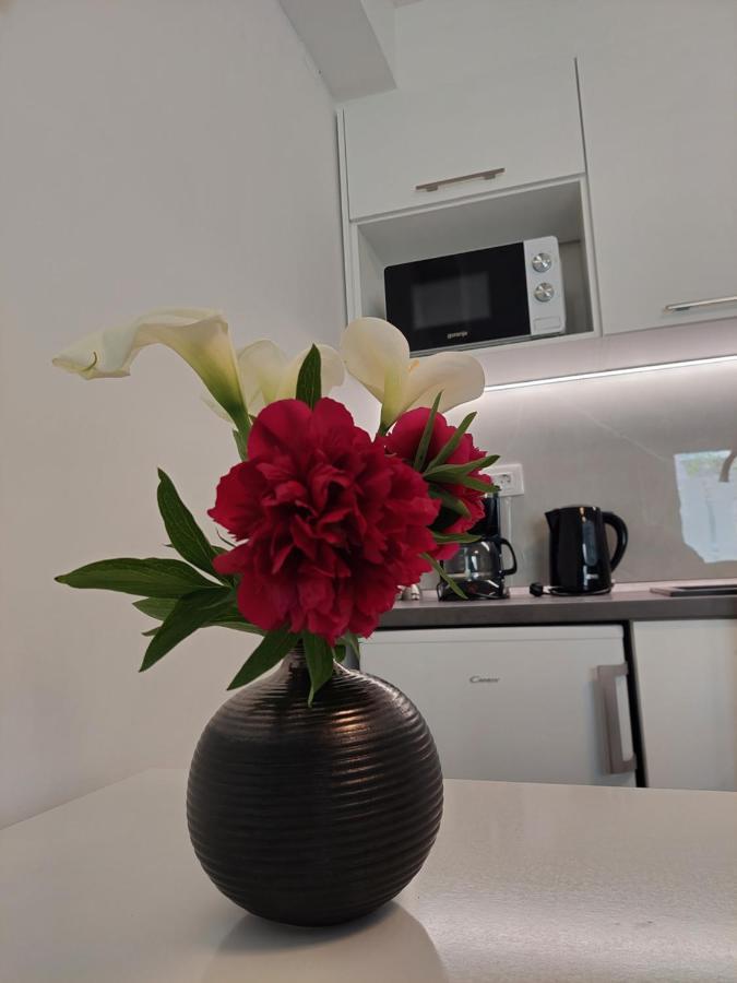 Apartment Mara Dubrovnik Extérieur photo